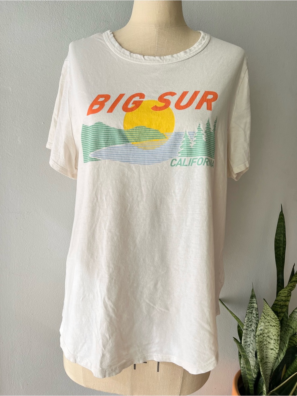 Big Sur Retro Graphic Cotton T Shirt• Sz XL